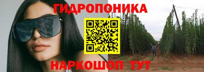 прущие крисы Лесосибирск