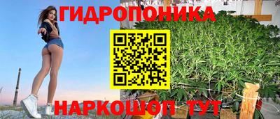 прущие крисы Лесосибирск
