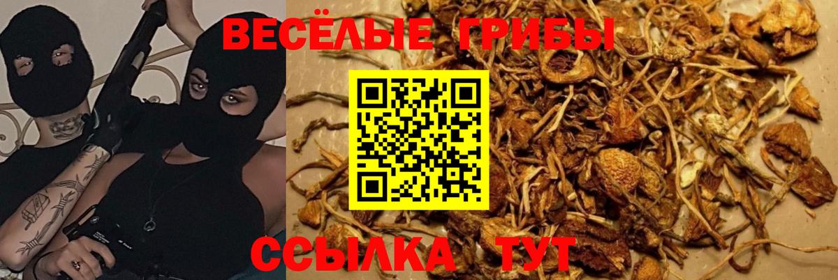 Галлюциногенные грибы мухоморы Шелехов